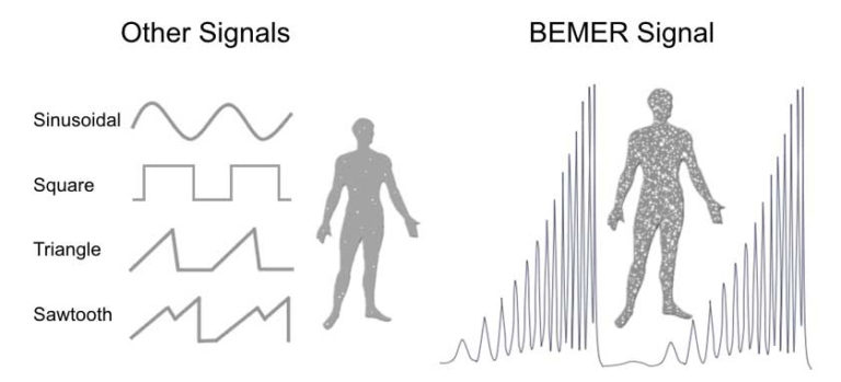 BEMER PEMF Therapy - PEMF.co